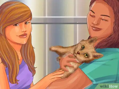 Image titled Socialize a Fearful Cat Step 11