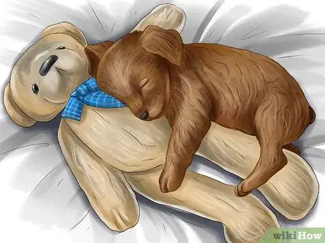 Image titled Rotate Your Dog's Toys Step 6