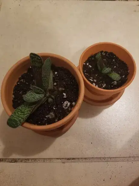 Image titled Timetorest