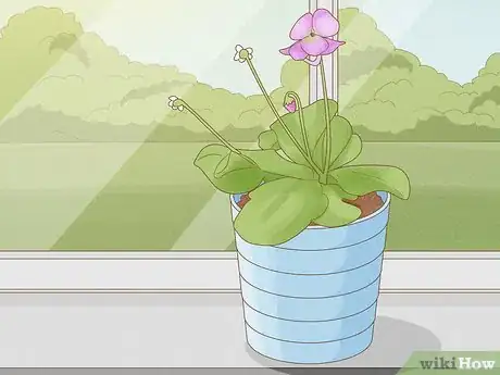 Image titled Raise Carnivorous Plants Step 4