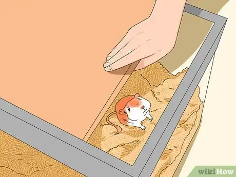 Image titled Keep a Gerbil Safe Around Other Pets Step 12