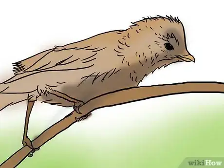 Image titled Stalk With a Ghillie (3D Camouflage) Suit Step 13