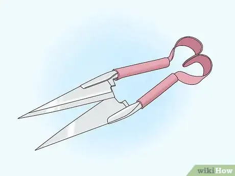 Image titled Prune Fuschias Step 1