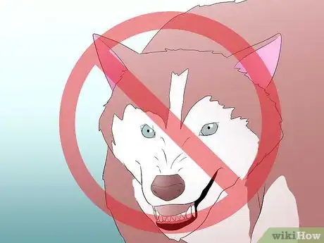 Image titled Get Started Dog Mushing Step 11