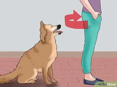 Image titled Discourage Your Host's Obnoxious Dog Step 1
