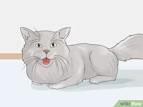 Image titled Help a Cat with Anxiety Step 14