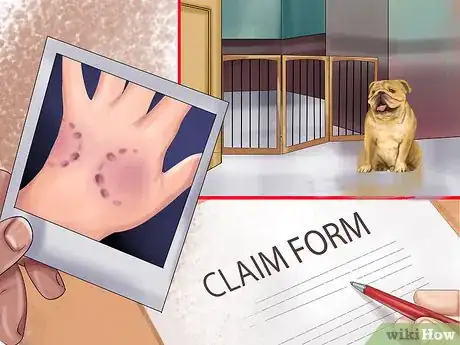 Image titled Buy Dog Owners Liability Insurance Step 8