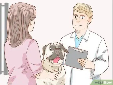 Image titled Care for an English Mastiff Step 2