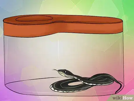 Image titled Catch a Garter Snake Step 16