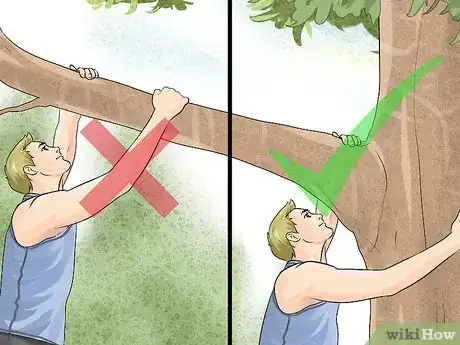 Image titled Free Climb a Tree Step 11