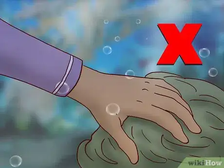 Image titled Take Action to Save Coral Reefs Step 12