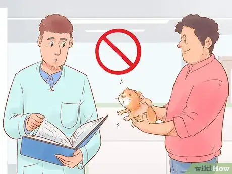 Image titled Neuter Your Guinea Pig Step 5