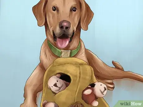 Image titled Introduce a Dog to a New Family Member Step 12