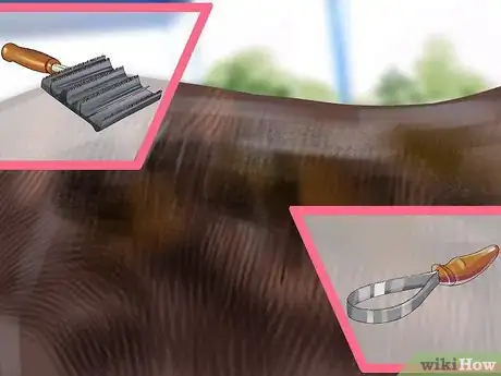 Image titled Assemble a Horse Grooming Kit Step 4