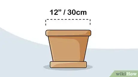 Image titled Grow Calla Lilies Step 1