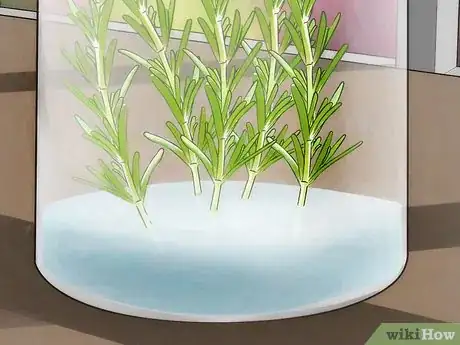Image titled Grow an Indoor Herb Garden Step 19