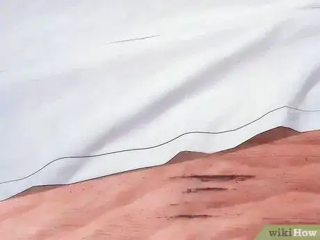 Image titled Make an Insect Catching Kit Step 5