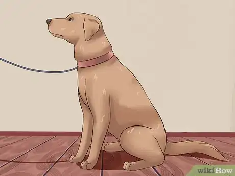 Image titled Tame a Dog Step 19