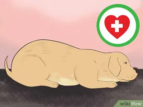 Image titled Create a Sound Reputation As a Dog Breeder Step 10