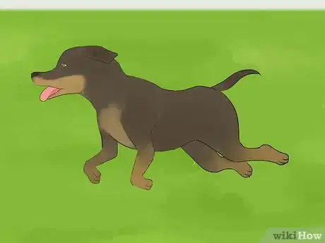 Image titled Calm a Hyperactive Dog Step 5