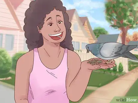 Image titled Encourage Doves to Coo Step 4