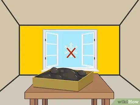 Image titled Plant Night Blooming Jasmine Step 07