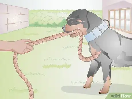 Image titled Find Durable Dog Toys Step 3