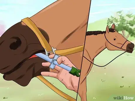 Image titled Deworm a Horse Step 7