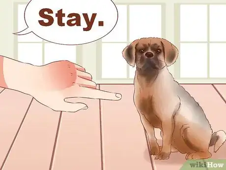 Image titled Train Puggles Step 13