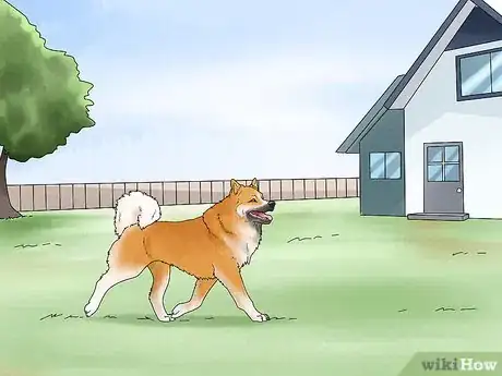 Image titled Choose a High Energy Dog Breed Step 5