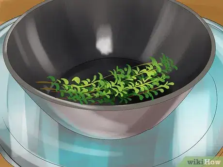 Image titled Harvest Herbs Step 18