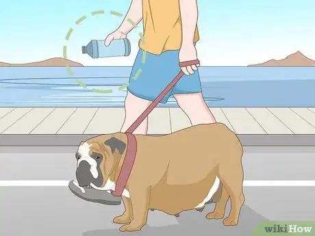 Image titled Keep a Dog Cool in Hot Weather Step 3