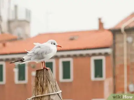 Image titled Cope in the World of Ego Step 3