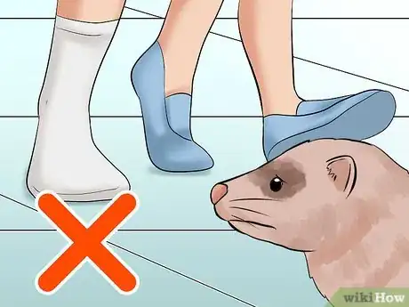 Image titled Decide if a Ferret Is the Right Pet for You Step 7