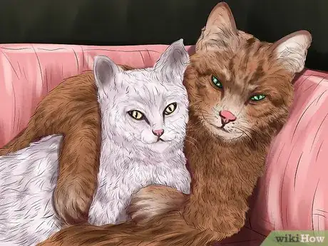 Image titled Understand Your Cat's Behavior Step 9