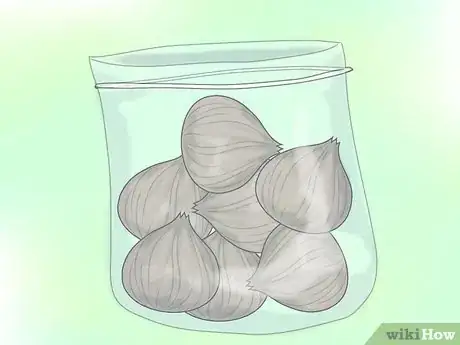 Image titled Grow Gladiolus Step 1