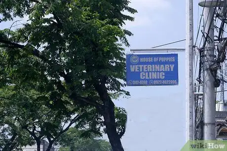 Image titled Maintain a Pet's Hair Step 6