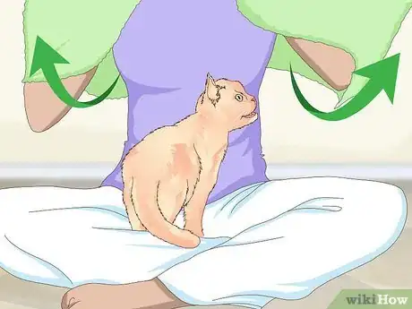 Image titled Manage Wool Sucking in Cats Step 1