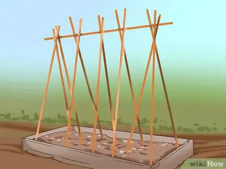 Image titled Use Your Christmas Tree in the Garden Step 3