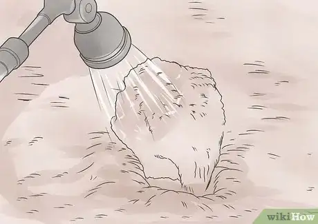 Image titled Grow Impatiens Step 7