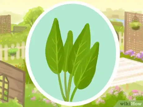 Image titled Plant a Deer‐Resistant Garden Step 22