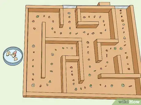 Image titled Train a Rat to Run a Maze or Obstacle Course Step 2