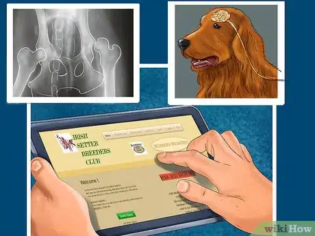 Image titled Care for an Irish Setter Step 5