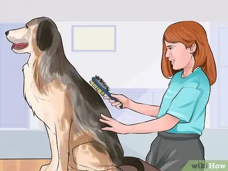 Image titled Involve Your Kids in Selecting a Dog Step 11