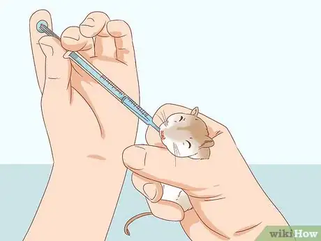 Image titled Diagnose Heart Failure in Gerbils Step 12