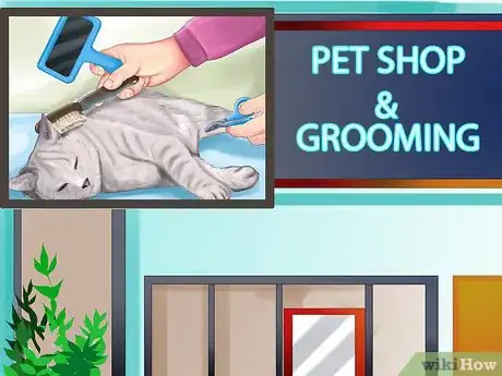 Image titled Find a Professional Cat Groomer Step 3