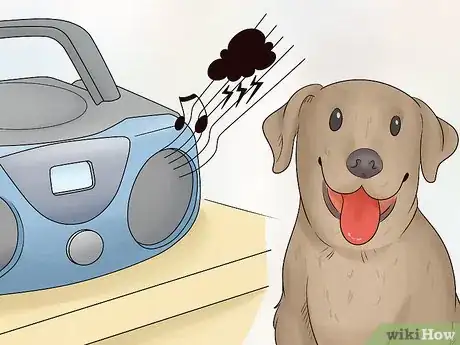Image titled Keep Pets Safe During a Tornado Step 13