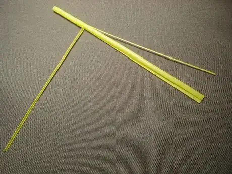 Image titled Shachi8_108.JPG