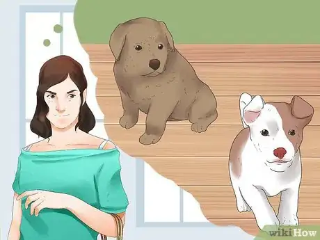 Image titled Choose a Puppy Step 8