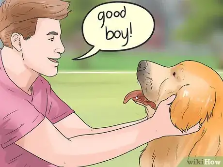 Image titled Get Along with Your Dog Step 10